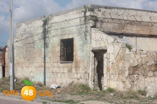 kaniswa7akhadra2 (3).JPG